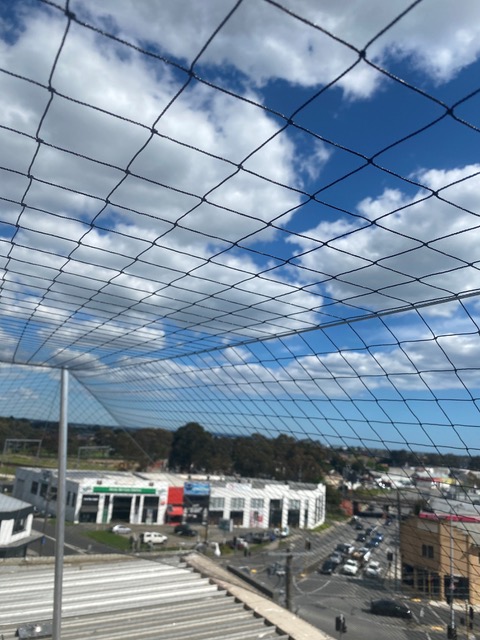 Bird netting enclosing a rooftop terrace above a shopping strip